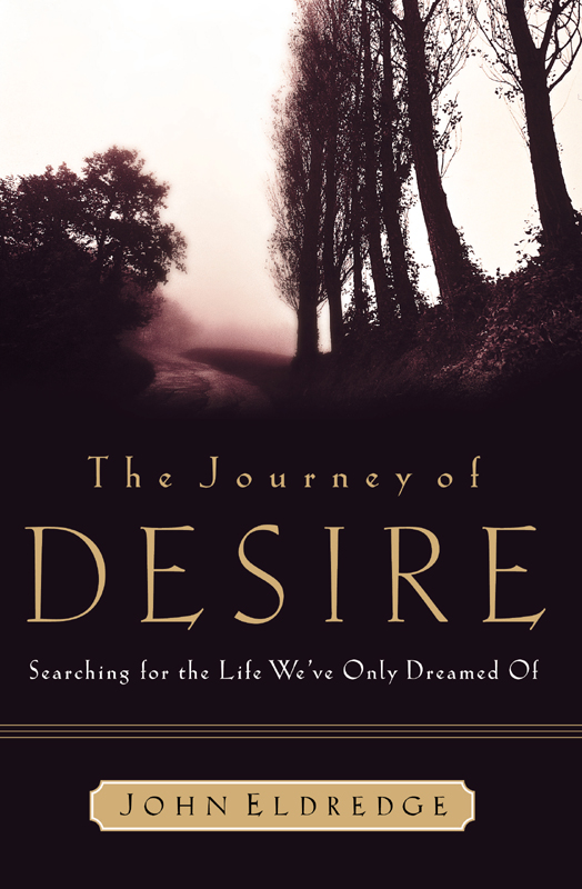 Cover image for The Journey of Desire